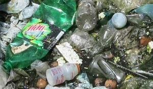 Behaviours that Harm Public Health Part 2 &ndash; Littering.